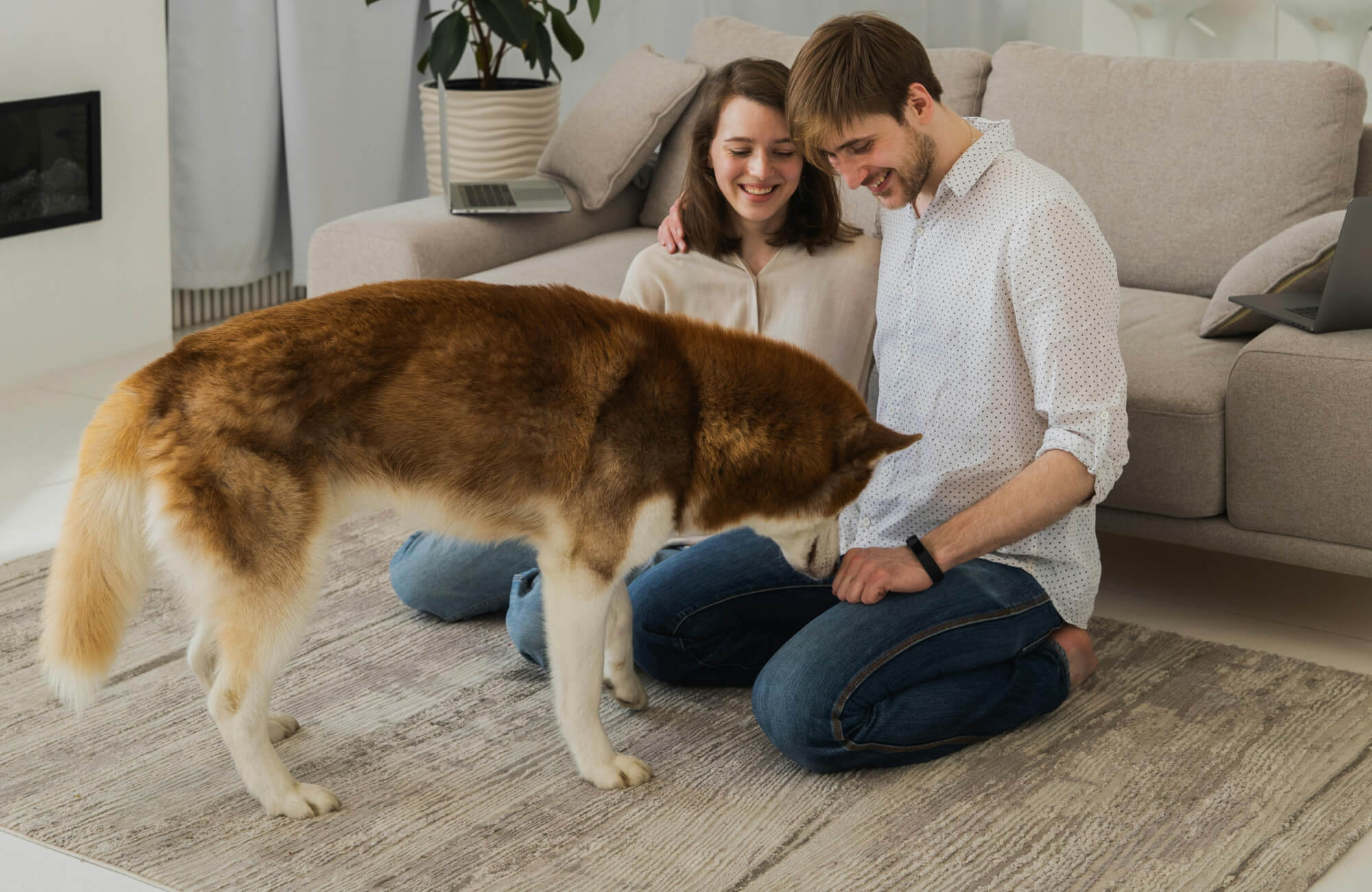 Happy couple playing with their husky on a textured, pet-friendly polypropylene rug in a cozy, modern living room.