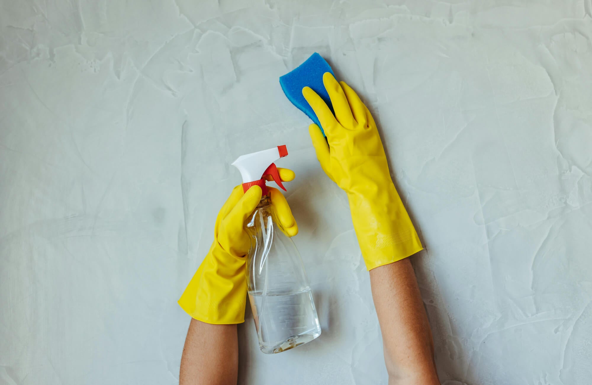 null Hands in protective gloves, holding a cleaning spray, and scrubbing a surface with a sponge.