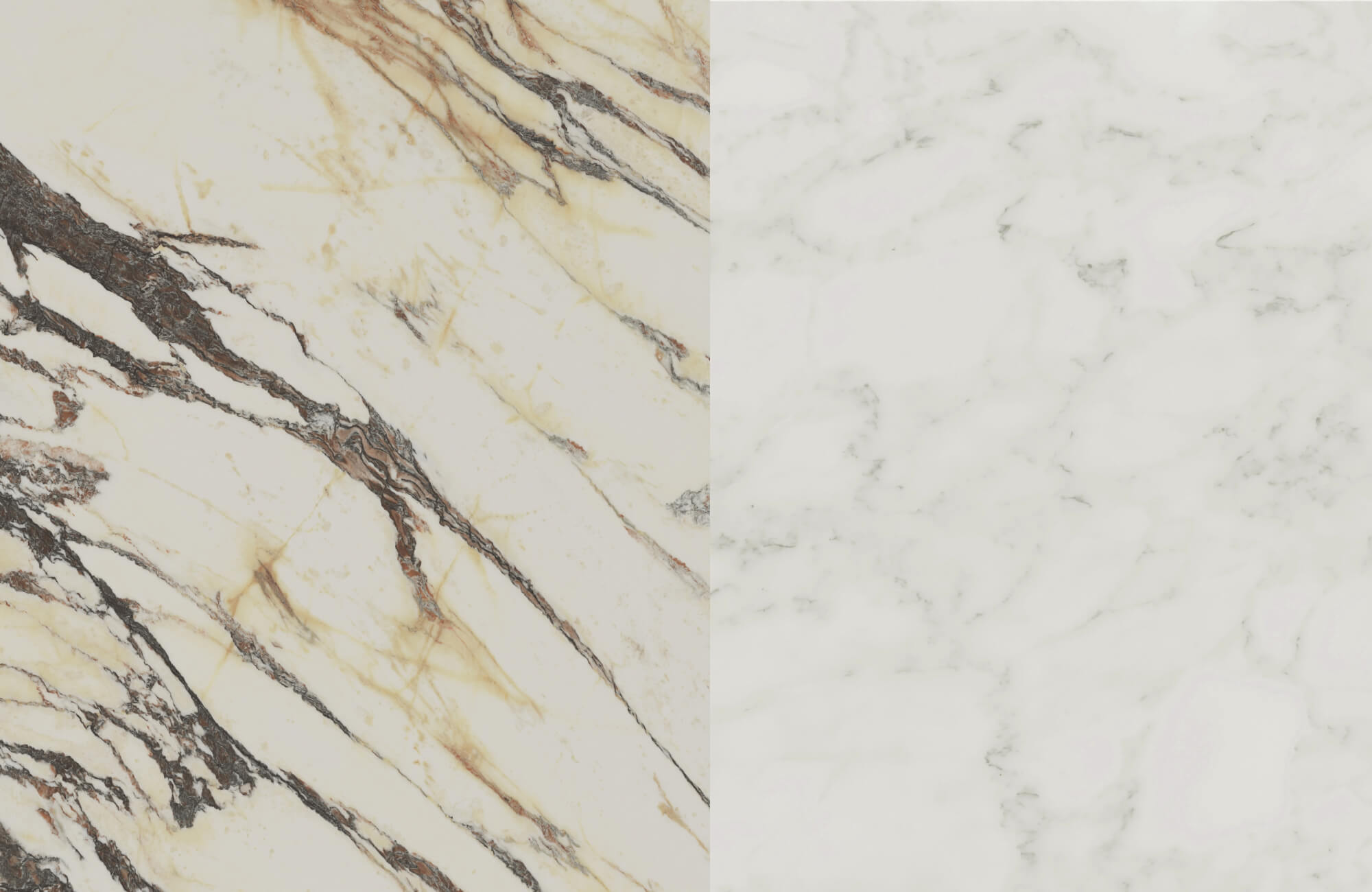 Close-up of Calacatta marble on the left, showcasing bold golden and black veining, contrasted with Carrara marble on the right, featuring subtle gray veining.