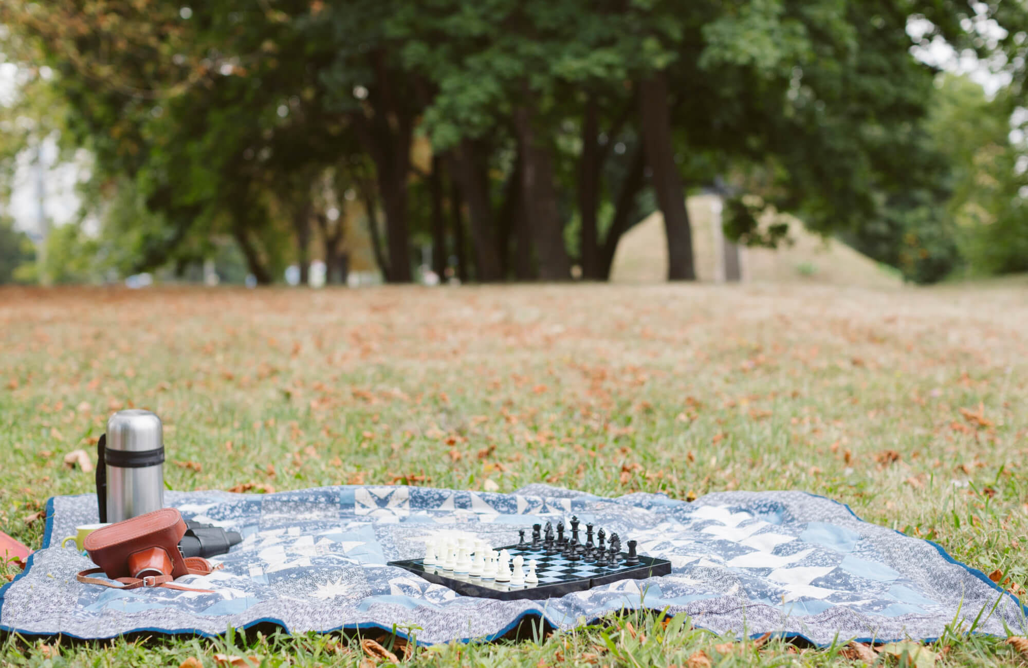null Rug on the grass with chess set and thermos.
