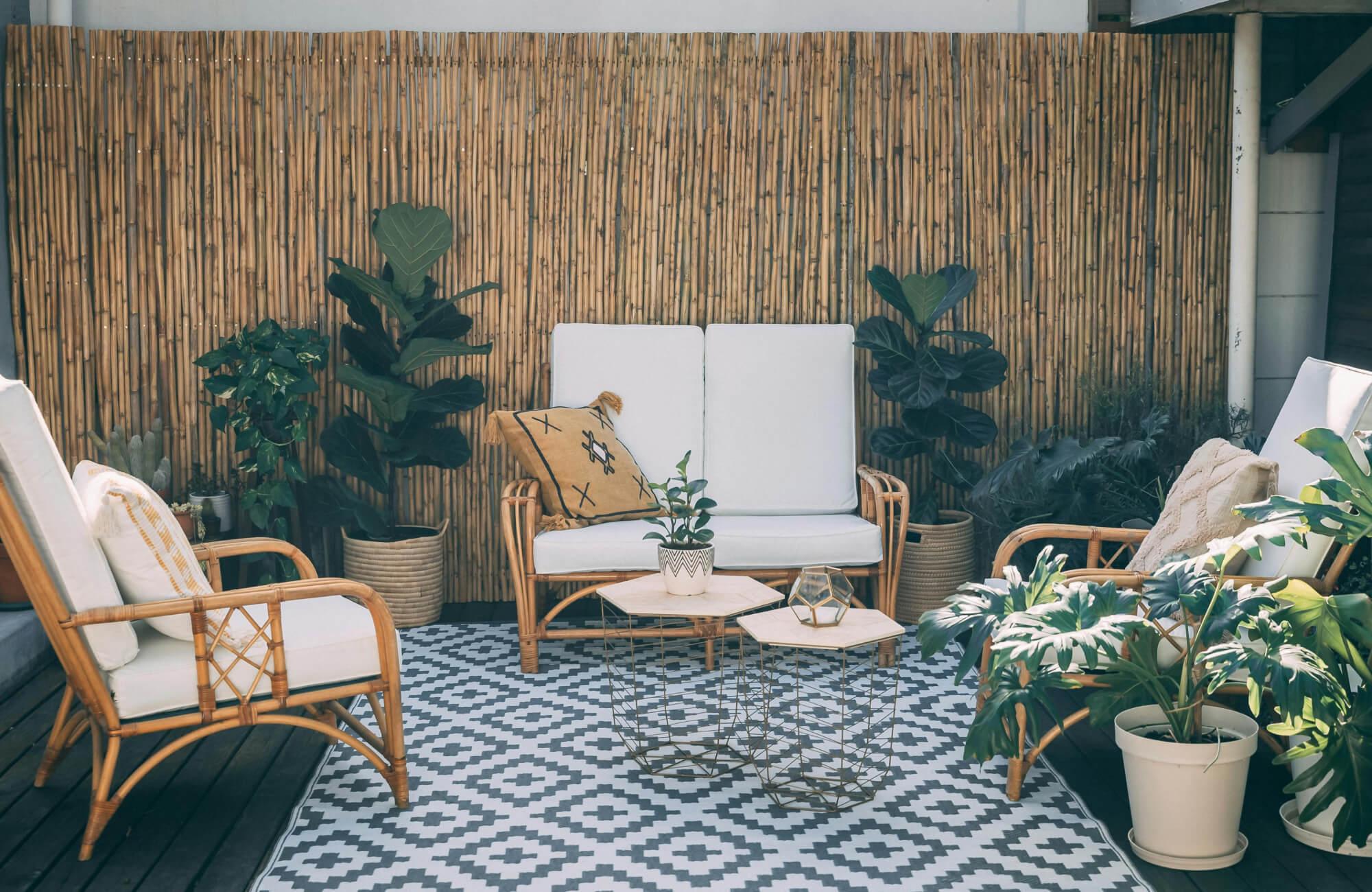 Bohemian patio with rattan seating, leafy plants, and a bold black-and-white diamond-patterned polypropylene rug.