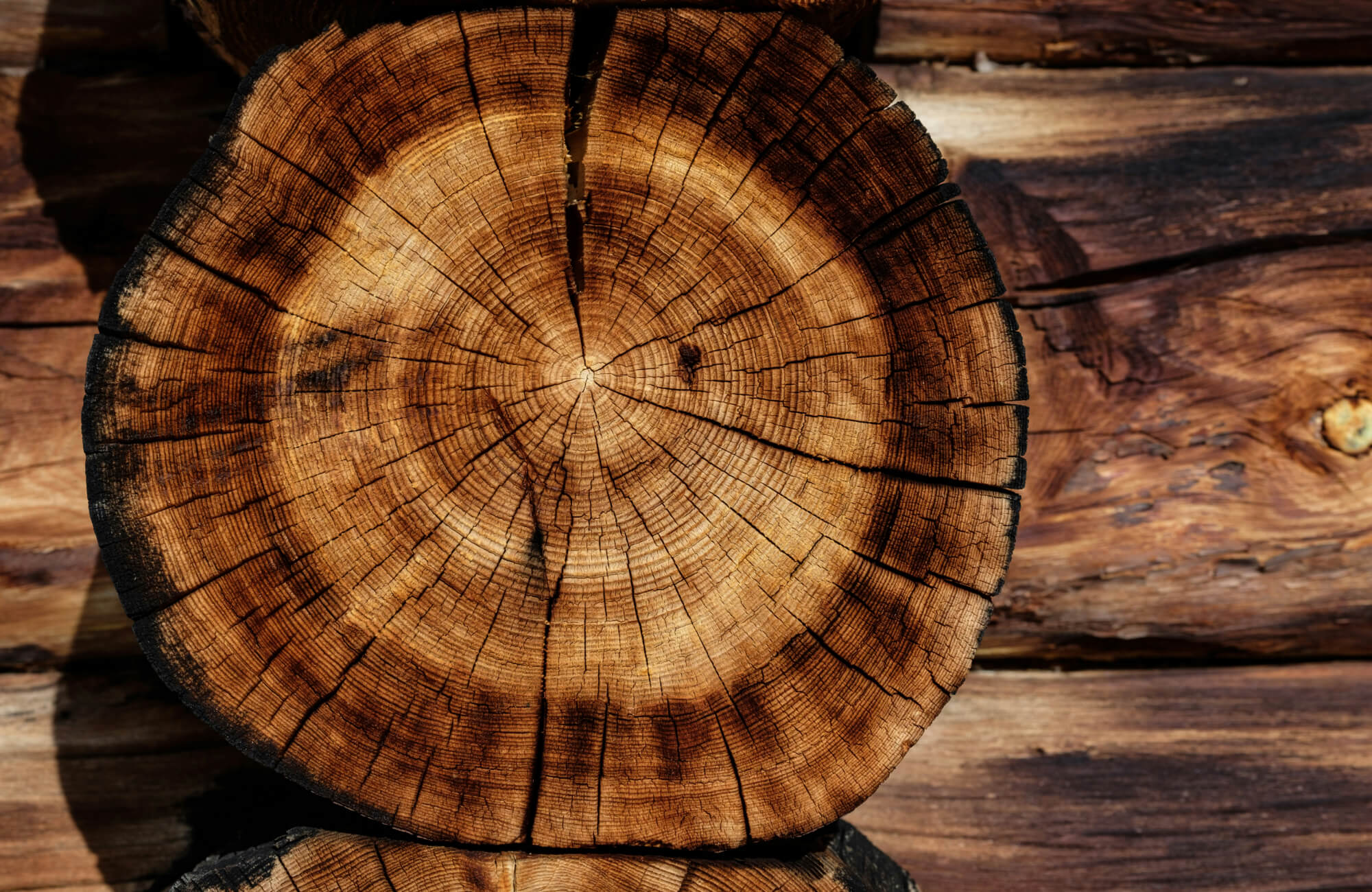 null Close-up of a weathered wood log with distinct growth rings and rich textures, showcasing natural warmth and durability.
