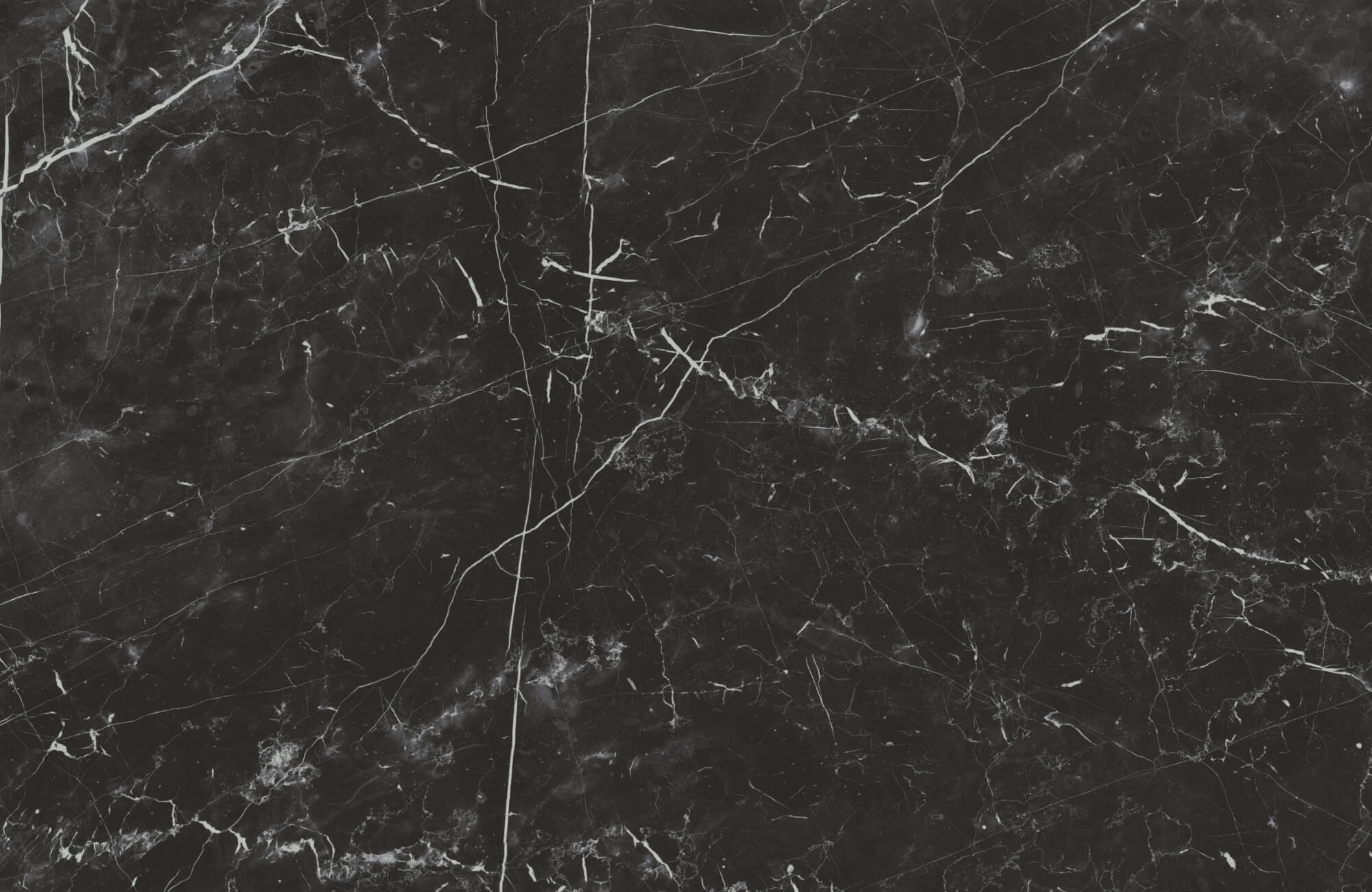 Close-up of polished black marble with dramatic white veining and subtle surface texture.
