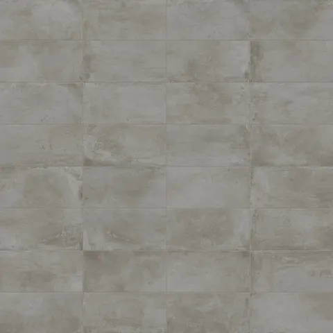 Ramsey 12 x 24 Matte Porcelain Tile in Ash