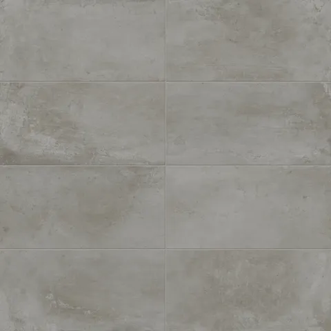 Ramsey 12 x 24 Matte Porcelain Tile in Ash