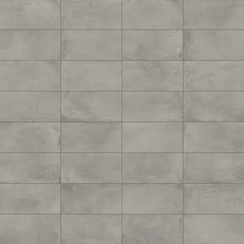 Ramsey 12 x 24 Polished Porcelain Tile in Ash