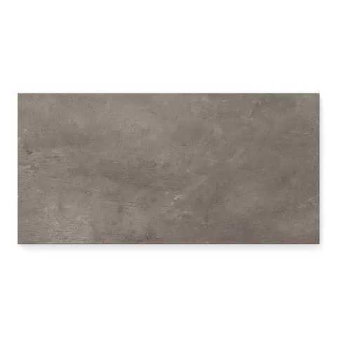 Ramsey 12 x 24 Polished Porcelain Tile in Plumb