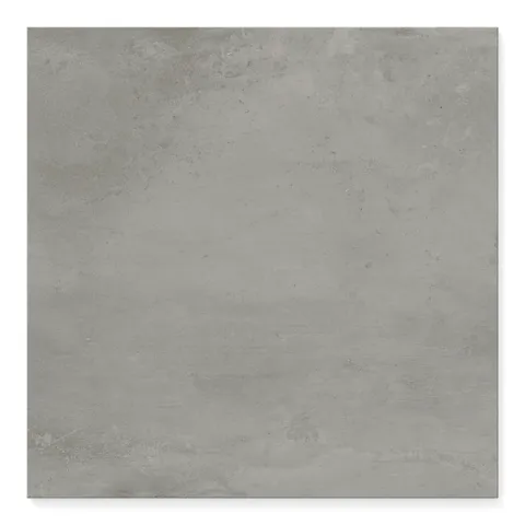 Ramsey 24 x 24 Polished Porcelain Tile in Ash