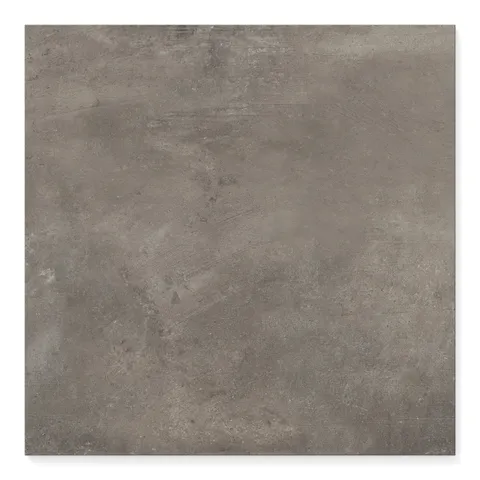 Ramsey 24 x 24 Polished Porcelain Tile in Plumb