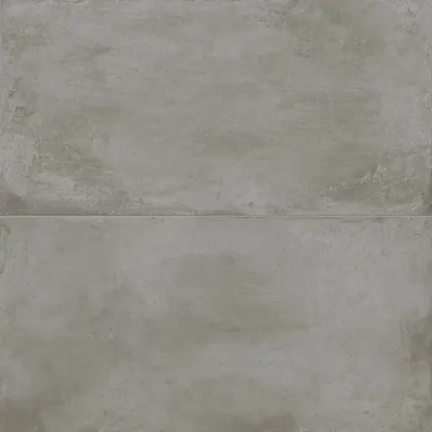 Ramsey 24 x 48 Matte Porcelain Tile in Ash