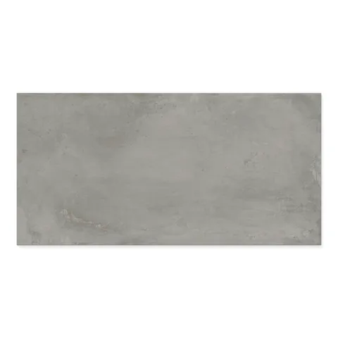 Ramsey 24 x 48 Polished Porcelain Tile in Ash