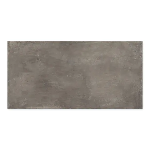 Ramsey 24 x 48 Polished Porcelain Tile in Plumb
