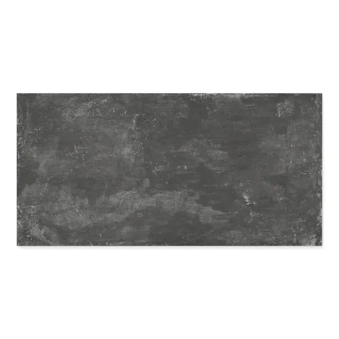 Ramsey 24 x 48 Polished Porcelain Tile in Coal