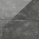 Coal