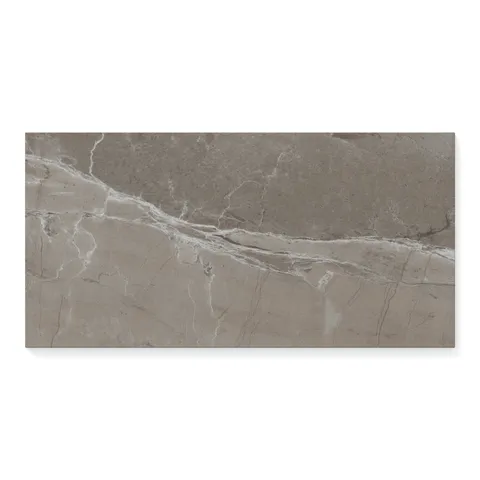 Declan 12 x 24 Matte Porcelain Tile in Mink