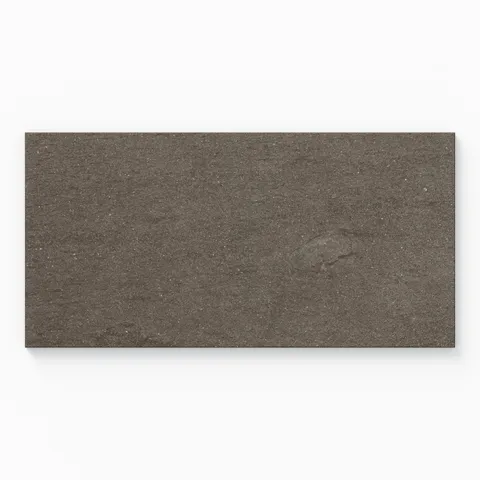 Brody 12 x 24 Matte Porcelain Tile in Nut