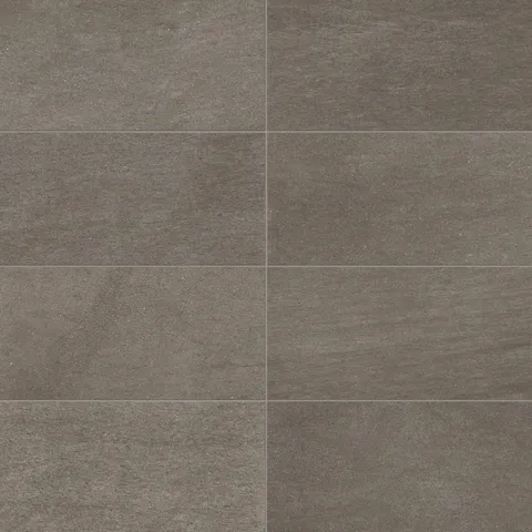 Brody 12 x 24 Matte Porcelain Tile in Nut