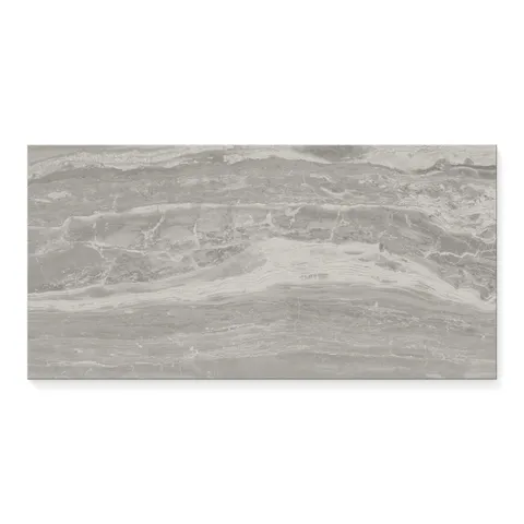 Harley 12 x 24 Polished Porcelain Tile in Taupe