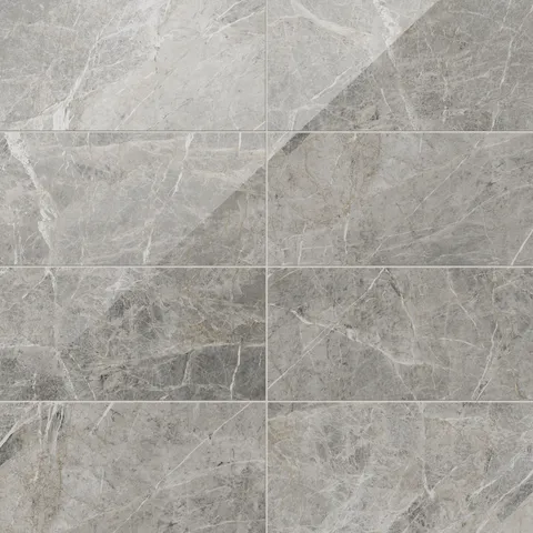 Chantel 12 x 24 Polished Porcelain Tile in Imperial
