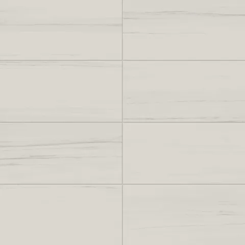 Chantel 12 x 24 Matte Porcelain Tile in Dolomite