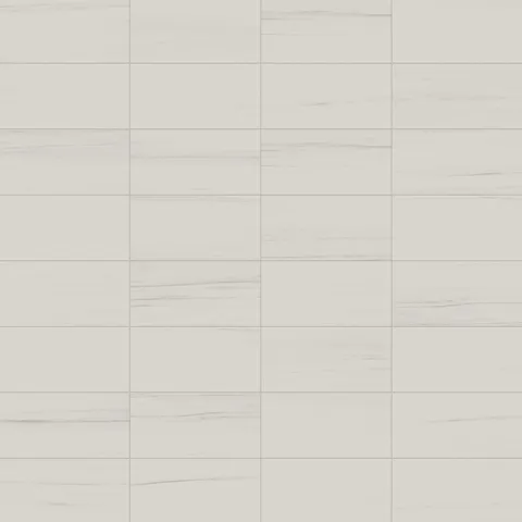 Chantel 12 x 24 Matte Porcelain Tile in Dolomite