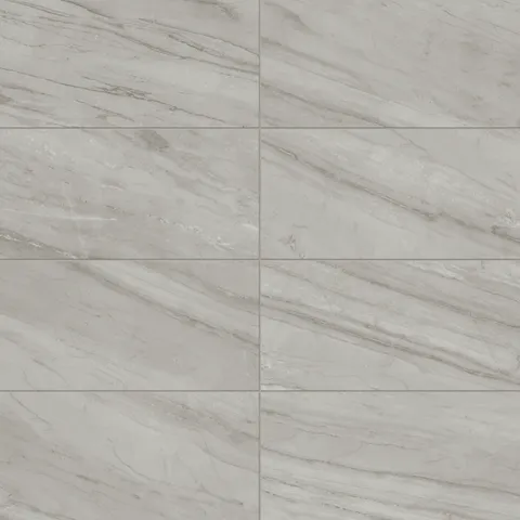 Chantel 12 x 24 Matte Porcelain Tile in Alaska Grey