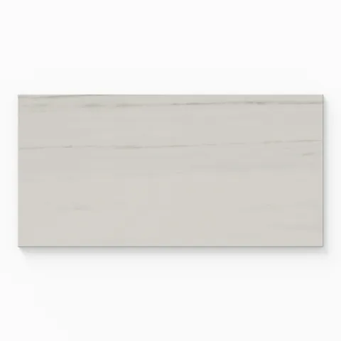 Chantel 12 x 24 Polished Porcelain Tile in Dolomite