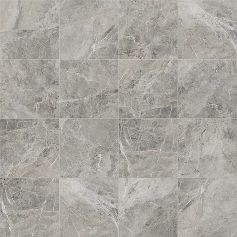 Chantel 24 x 24 Matte Porcelain Tile in Imperial