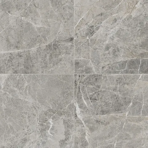 Chantel 24 x 24 Matte Porcelain Tile in Imperial
