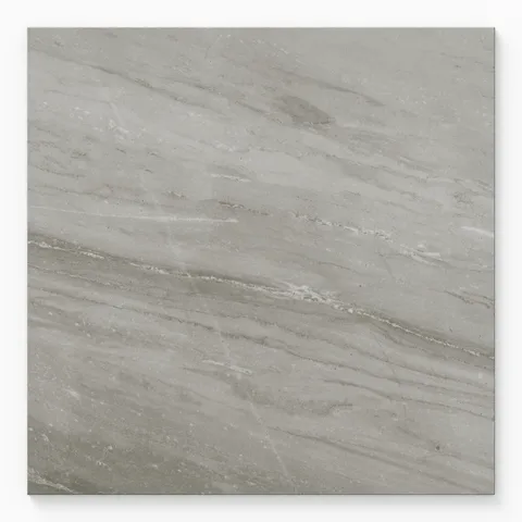 Chantel 24 x 24 Matte Porcelain Tile in Alaska Grey