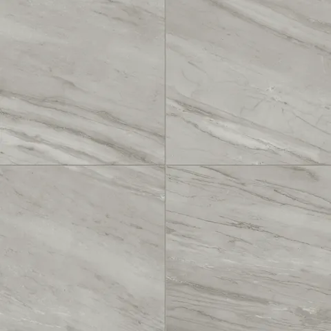 Chantel 24 x 24 Matte Porcelain Tile in Alaska Grey