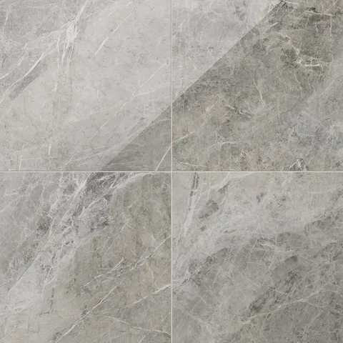 Chantel 24 x 24 Polished Porcelain Tile in Imperial