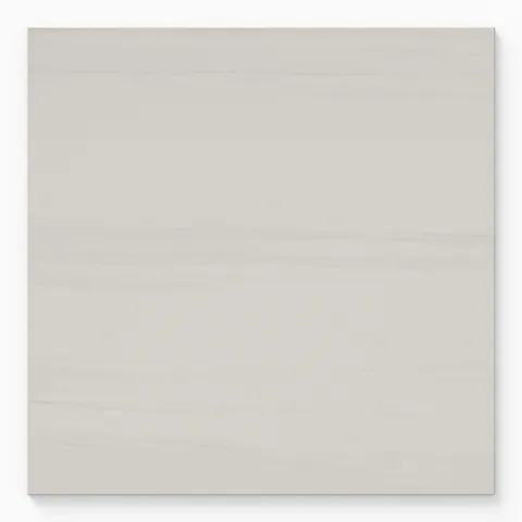 Chantel 24 x 24 Polished Porcelain Tile in Dolomite