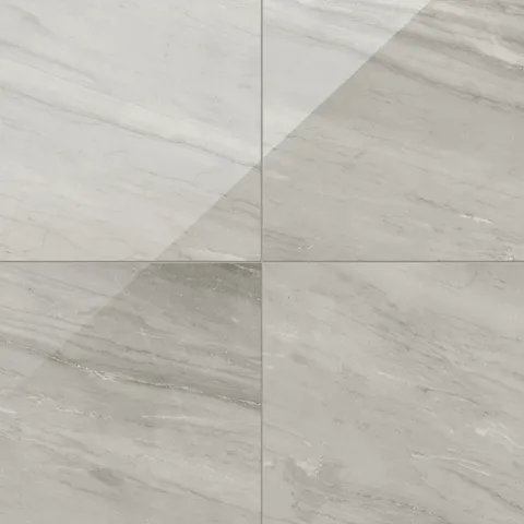 Chantel 24 x 24 Polished Porcelain Tile in Alaska Grey