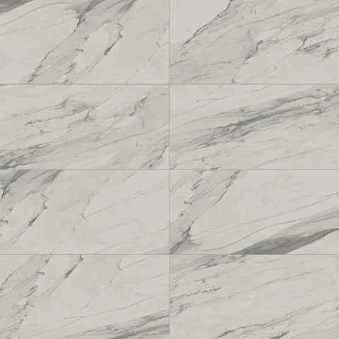 Chantel 24 x 48 Matte Porcelain Tile in Apuano