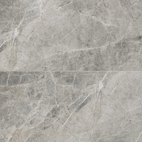 Chantel 24 x 48 Matte Porcelain Tile in Imperial