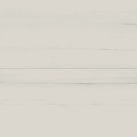 Chantel 24 x 48 Matte Porcelain Tile in Dolomite