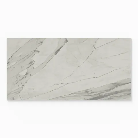 Chantel 24 x 48 Polished Porcelain Tile in Apuano