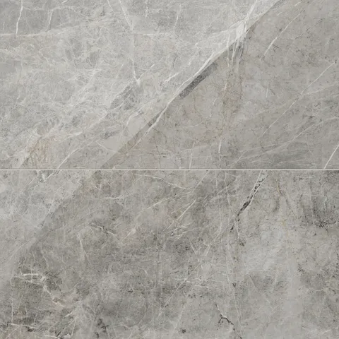 Chantel 24 x 48 Polished Porcelain Tile in Imperial