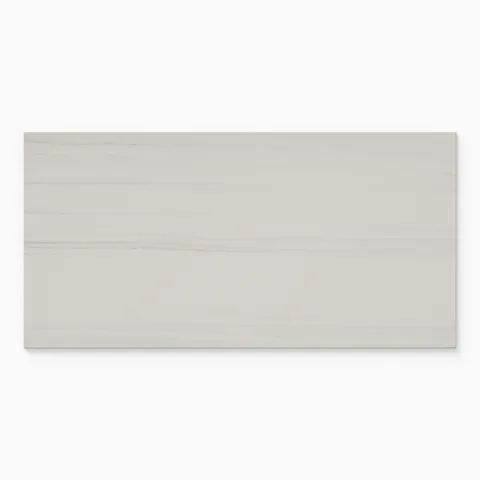 Chantel 24 x 48 Polished Porcelain Tile in Dolomite