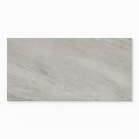 Chantel 24 x 48 Polished Porcelain Tile in Alaska Grey