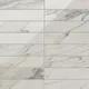 Apuano