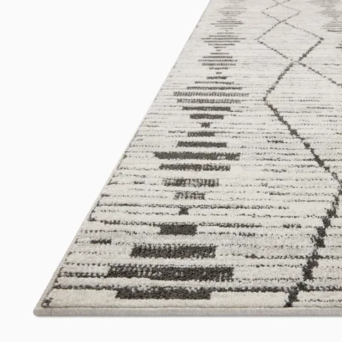 Liddy 2'3" x 3'10" Rug in Graphite / Platinum