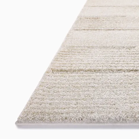Broderick 2'7" x 4' Rug in Mist / Dune
