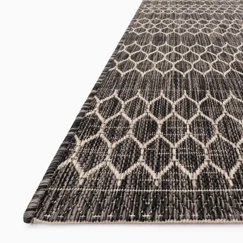 Marroway 2'2" x 3'9" Indoor/Outdoor Rug in Black / Grey
