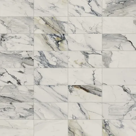 Aniston 12 x 24 Matte Porcelain Tile in Calacatta Antico