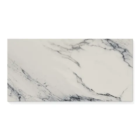 Aniston 12 x 24 Polished Porcelain Tile in Calacatta Antico