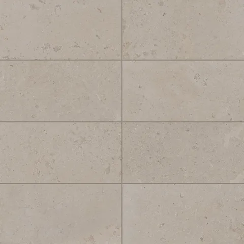 Wren 12 x 24 Matte Porcelain Tile in Dune