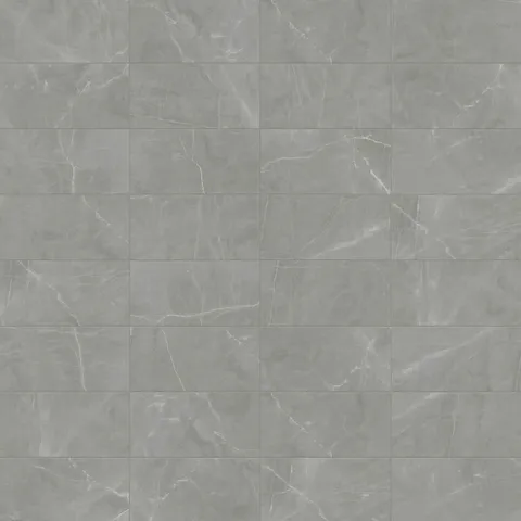 Leona 12 x 24 Polished Porcelain Tile in Amani Grey