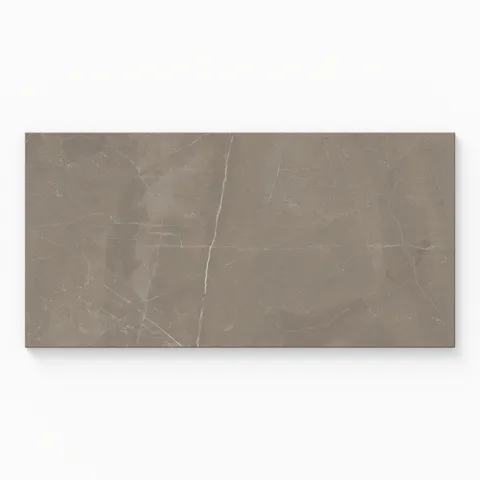 Leona 12 x 24 Polished Porcelain Tile in Amani Bronze